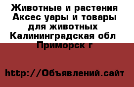 Животные и растения Аксесcуары и товары для животных. Калининградская обл.,Приморск г.